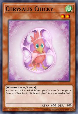 Chrysalis Chicky